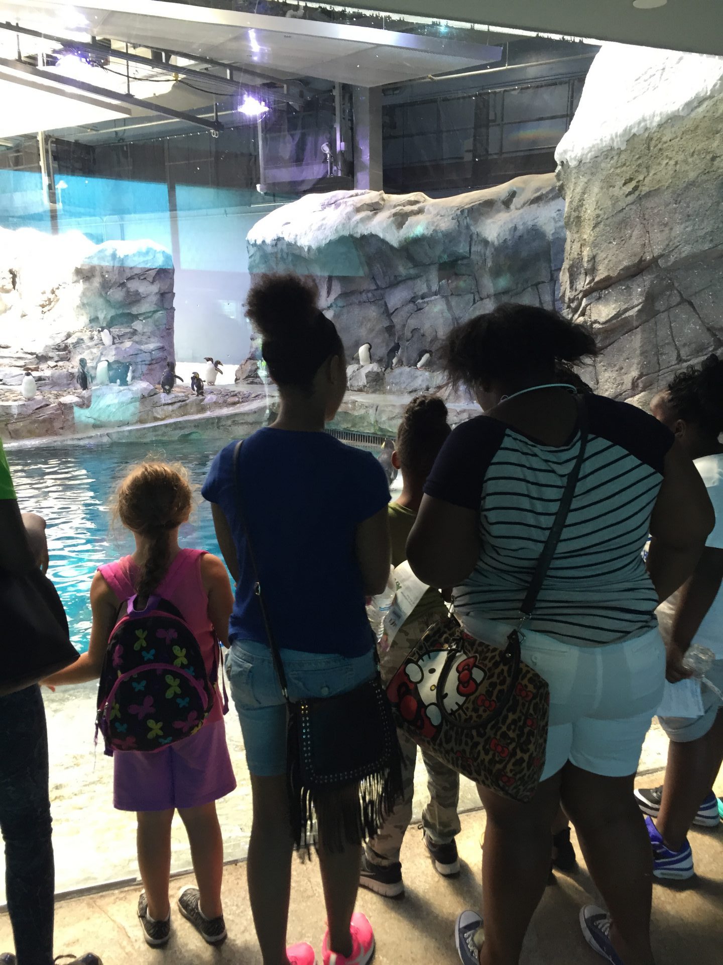 SAY Detroit Play Students Visit the Detroit Zoo | SAY Play Center