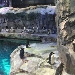 SAY Detroit Play Students Visit the Detroit Zoo | SAY Play Center