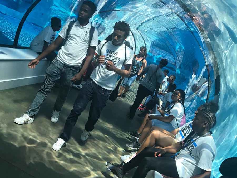 It’s a Summer of Success, Part 2